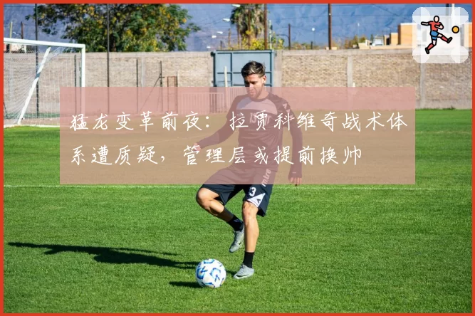 猛龙变革前夜:拉贾科维奇战术体系遭质疑,管理层或提前换帅