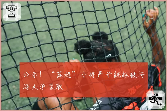 公示！“苏超”小将严子航拟被河海大学录取