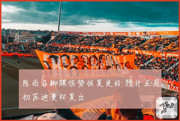 陈雨菲脚踝伤势恢复良好 预计五月初苏迪曼杯复出